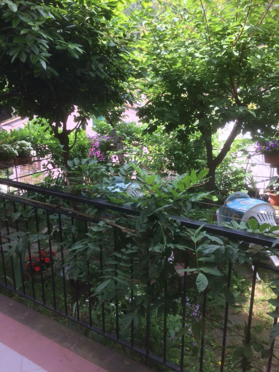 Hotel Luciano Riomaggiore Esterno foto